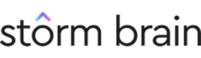 Storm Brain Logo